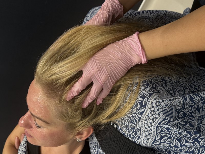 ✨ The Elf Escape ✨